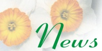 daff200x100.jpg